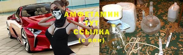 стафф Аркадак