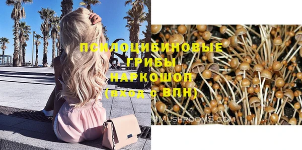 стафф Аркадак