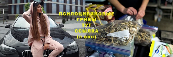 дмт Арсеньев